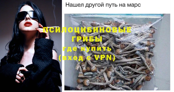 сатива Алзамай